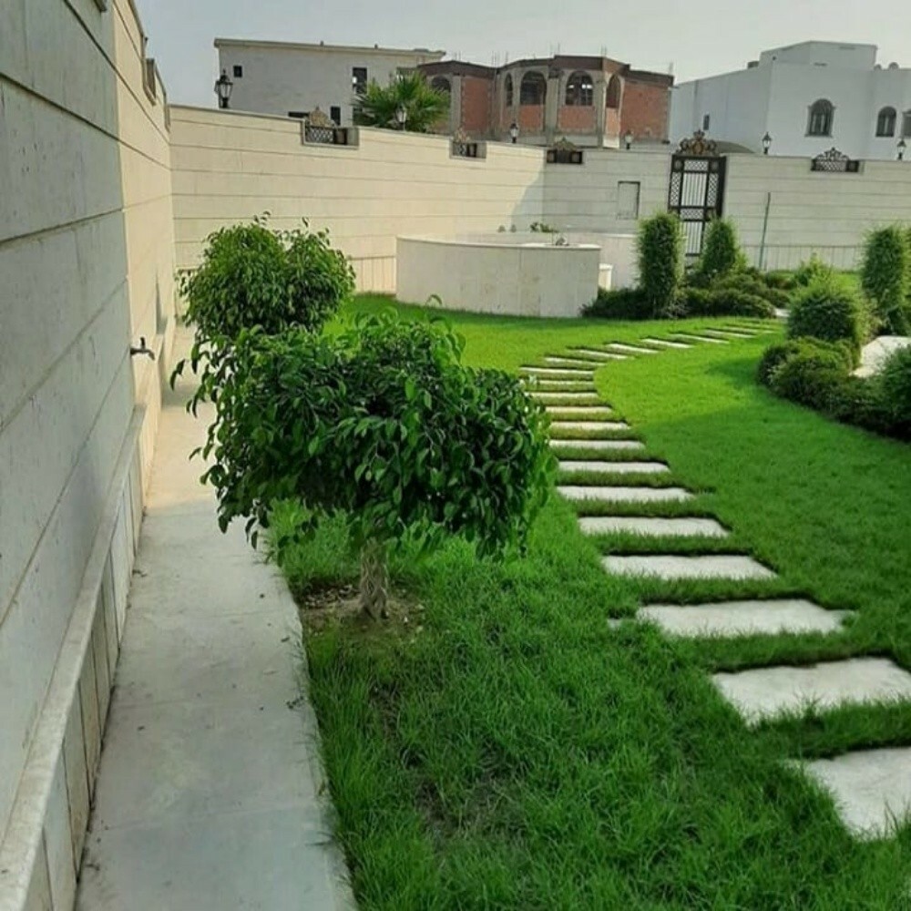 العناية بالحديقة - 2