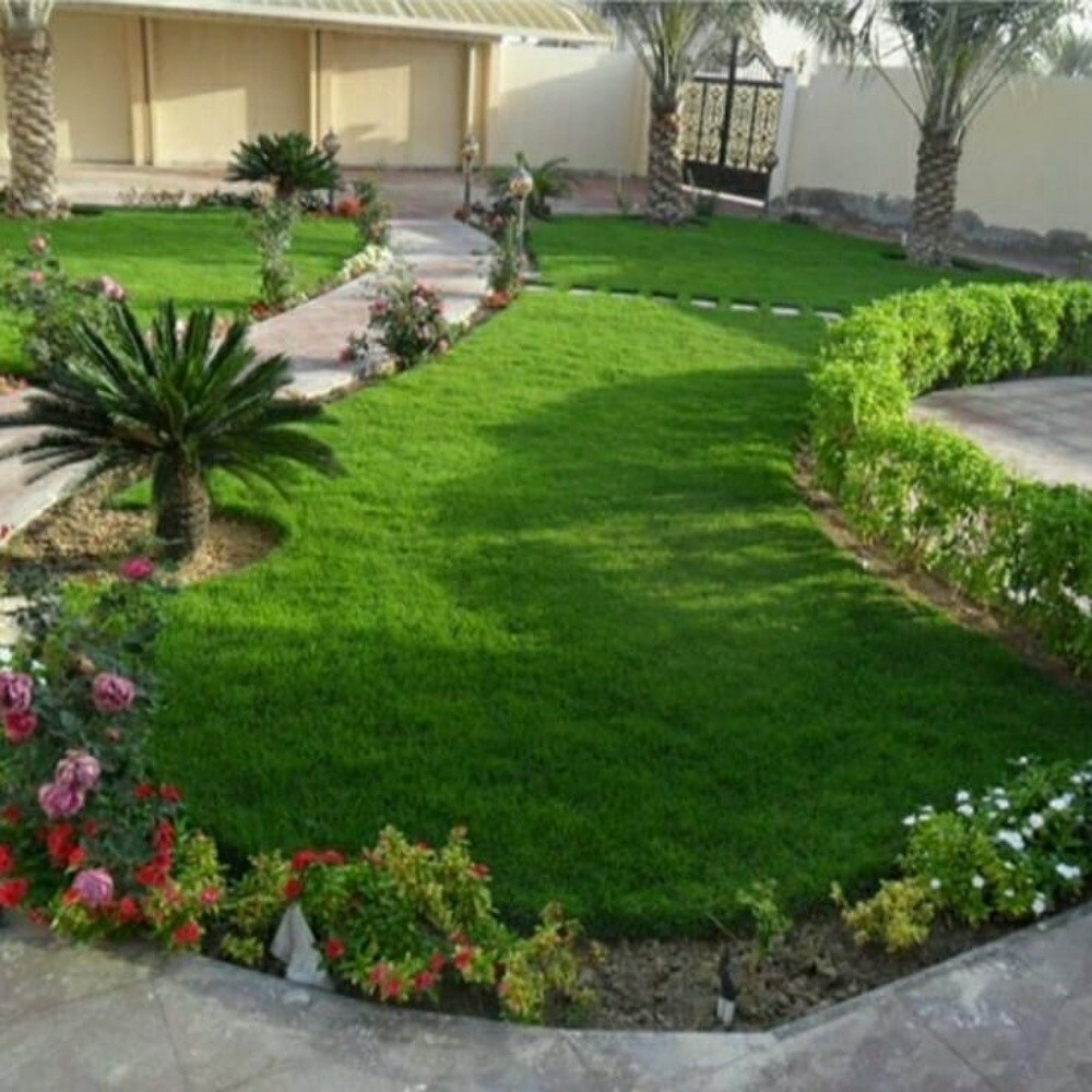 العناية بالحديقة - 1