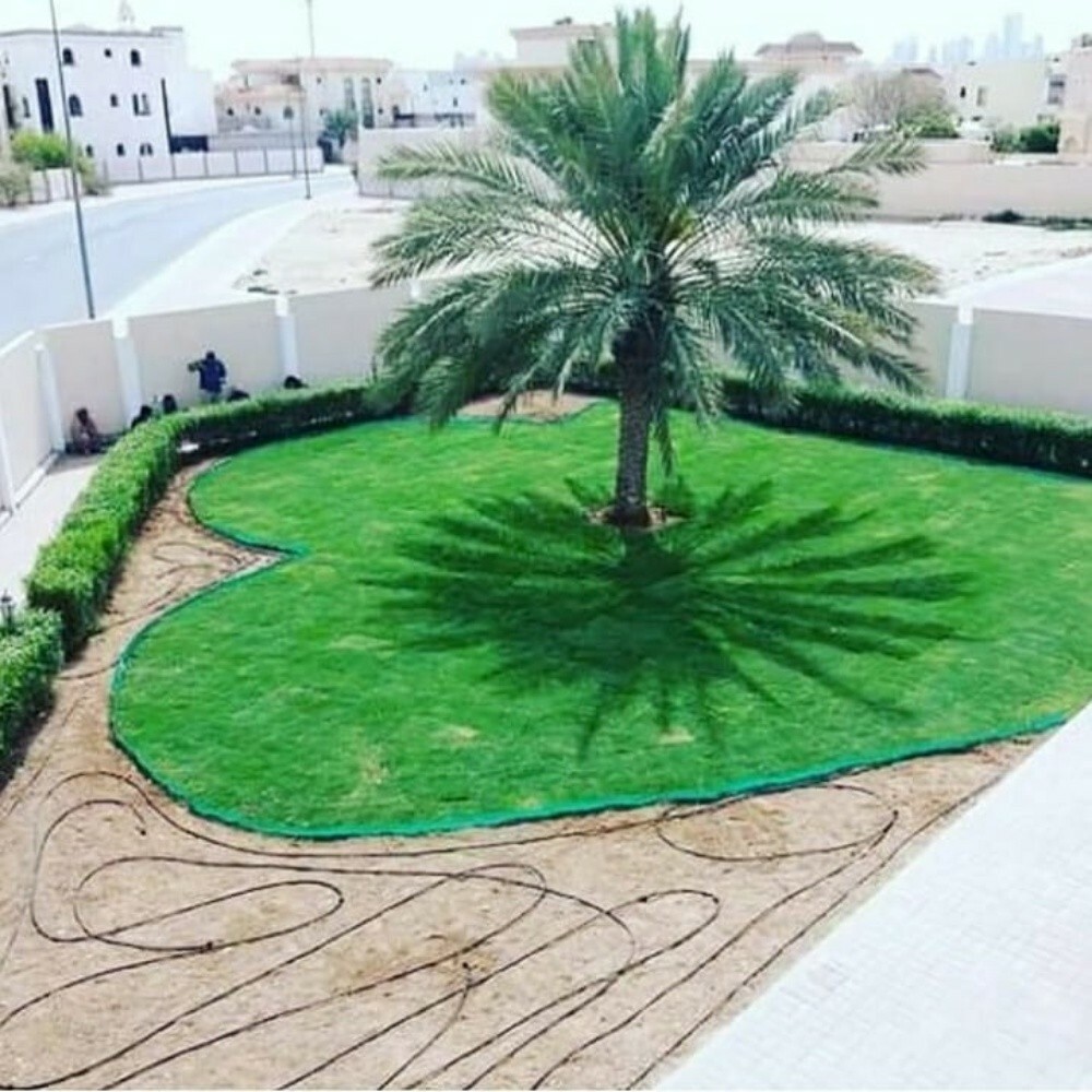 قص العشب وترتيبه - 3