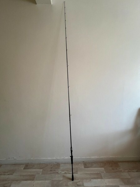 Fishing rod - 2