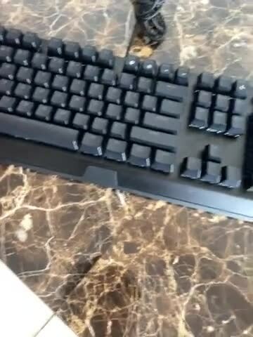 Razor keyboard - 1