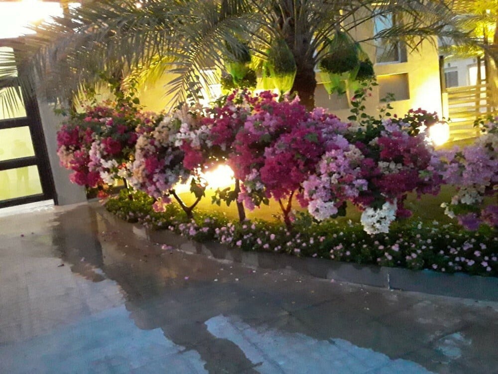 مهندس زراعي - 1