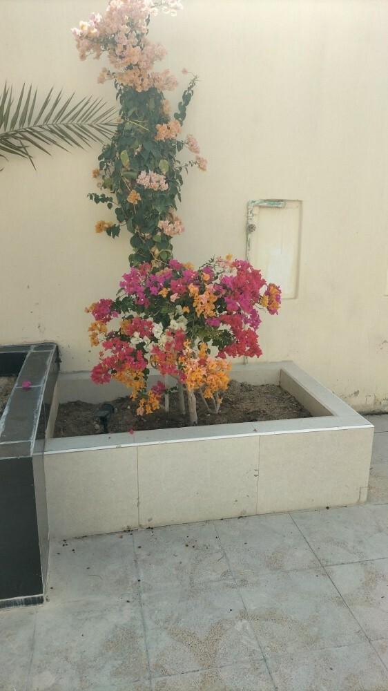 عمل شبكات الري الحديثه. 55079950 - 7