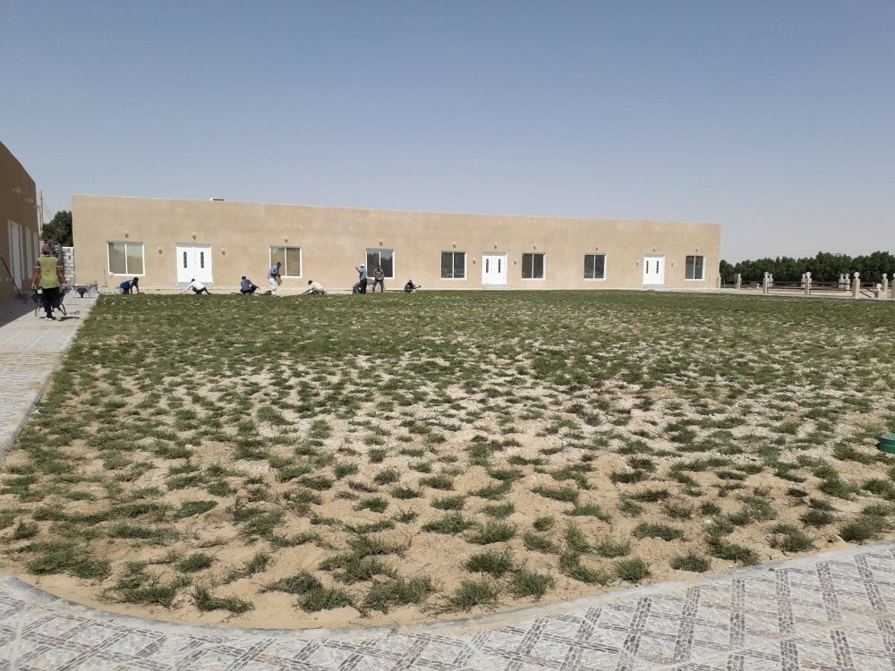 عمل شبكات الري الحديثه. 55079950 - 12