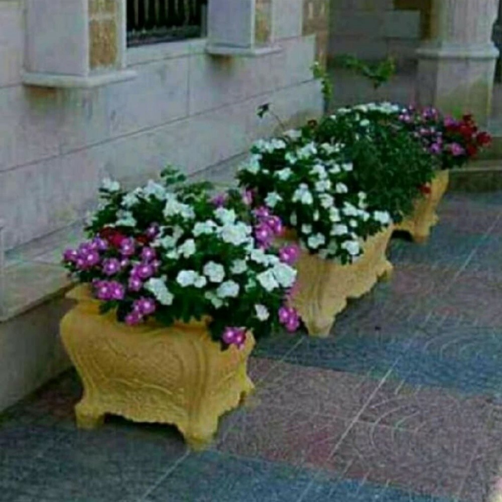 مصمم حدائق 55079950 - 8