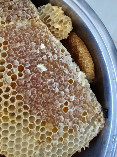 Qatari Sidr Honey half kilo - 6