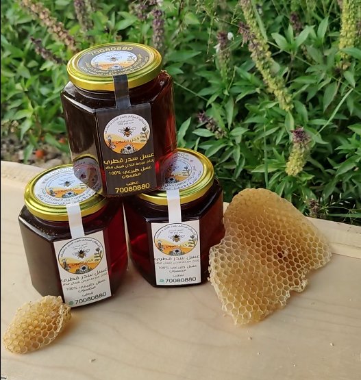 Qatari Sidr Honey half kilo - 1
