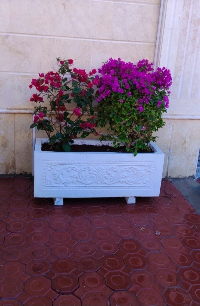 احواض زراعيه متنوعه - 3