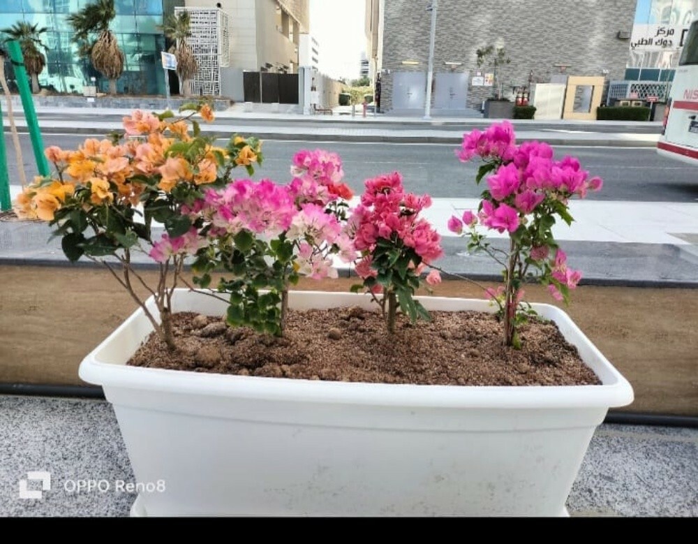 احواض زراعيه متنوعه - 2