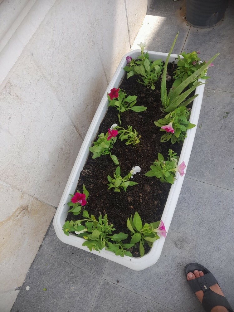احواض زراعيه متنوعه - 6