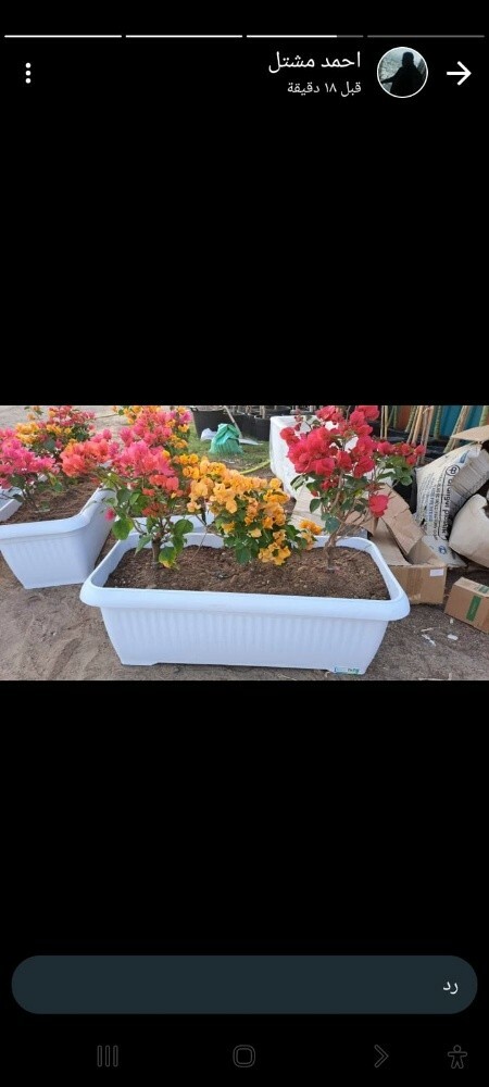 احواض زراعيه متنوعه - 5