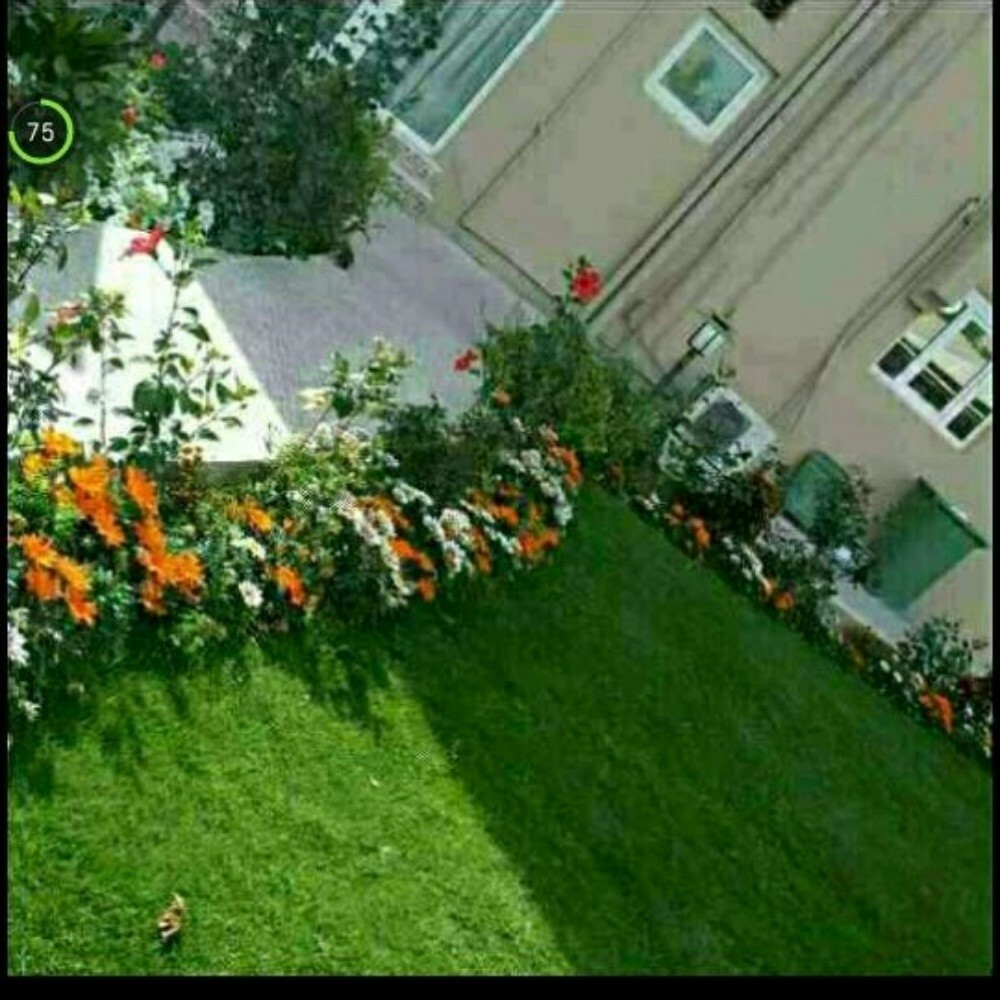 ابو فارس للزراعه والديكور - 3