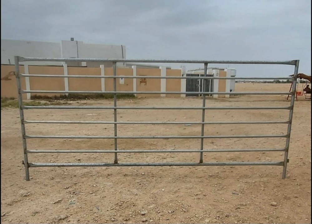 Shabok - 1