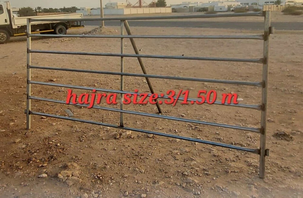 Shabok - 2