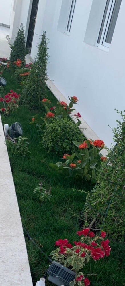 مهندس زراعي - 3