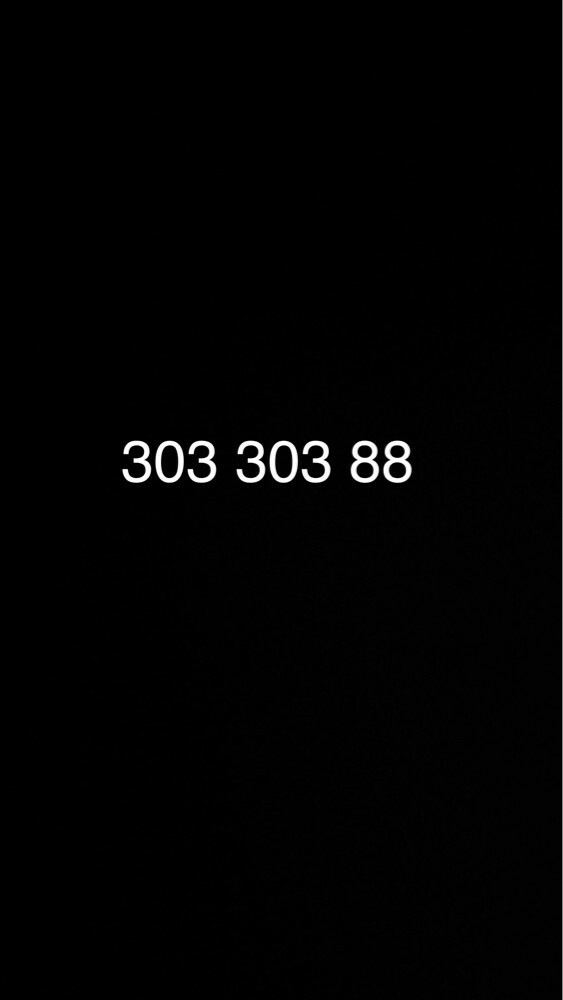 303 303 88 - 1