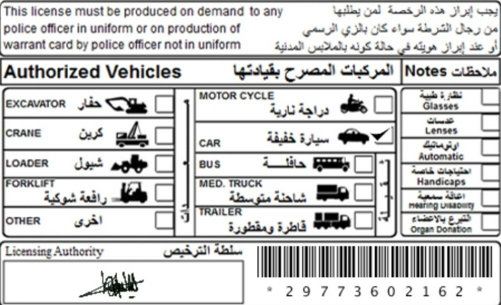 أبحث عن عمل - 3