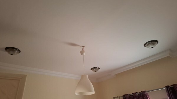 Light - 2