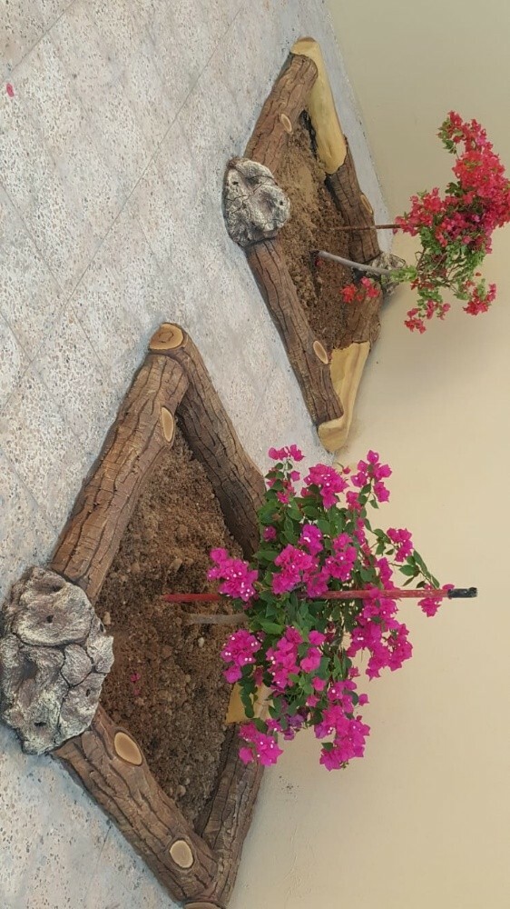 عشب طبيعي 55079950 - 19