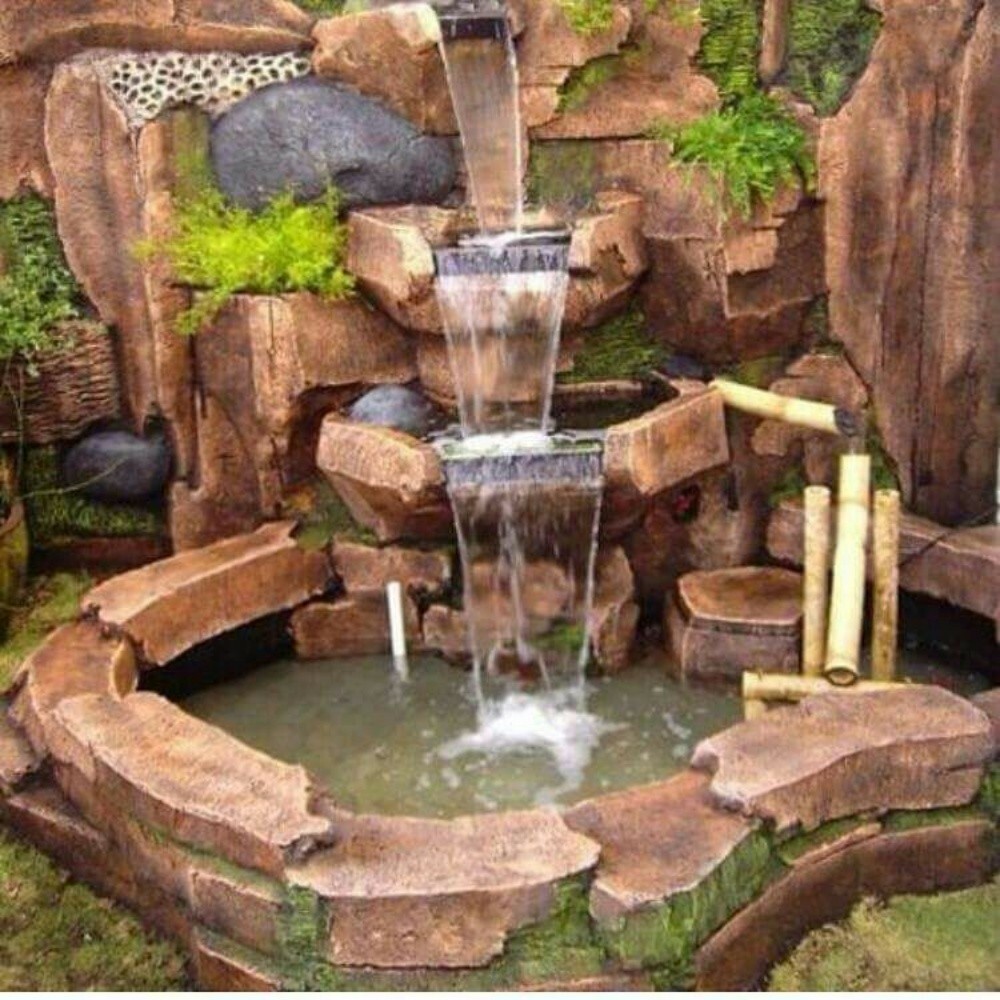 عشب طبيعي 55079950 - 11