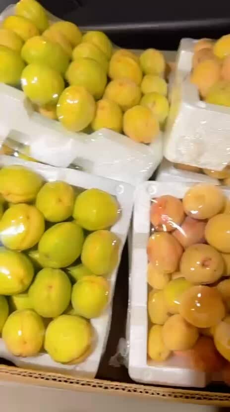 لوز بحريني - 1