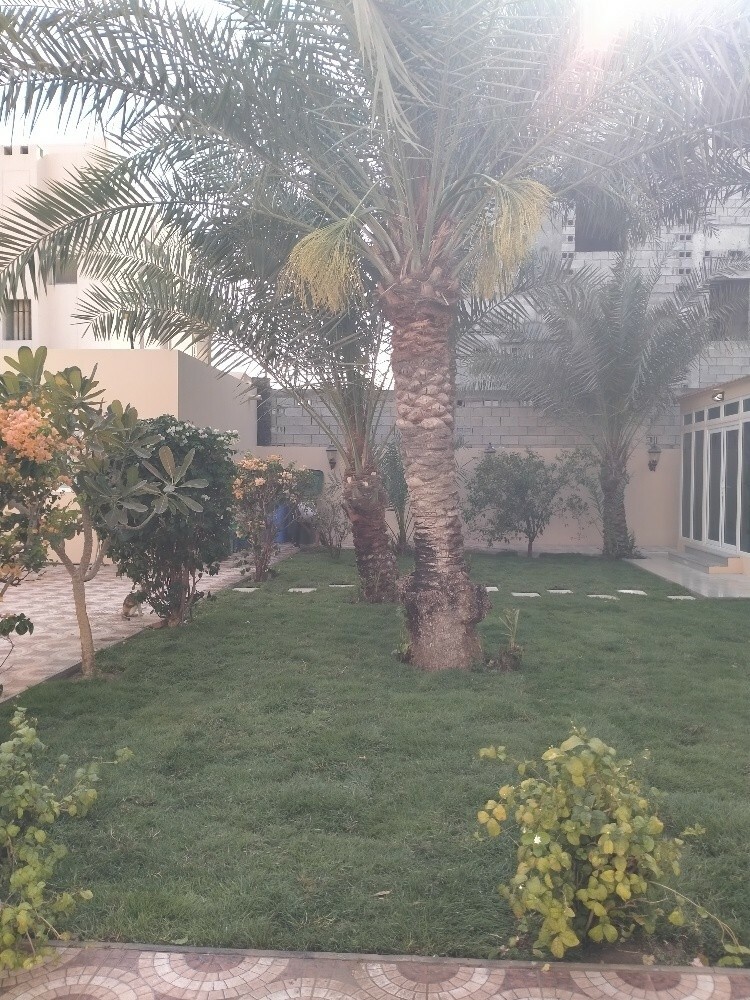 تنسيق الحدائق المنزليه - 17
