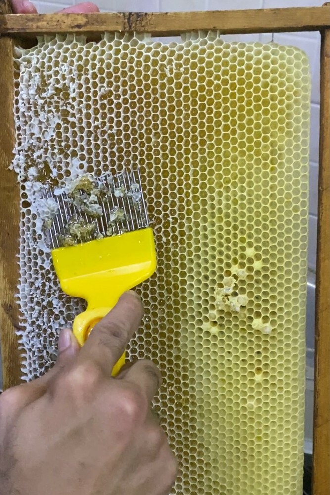 شمع اساس نحل طبيعي - 2