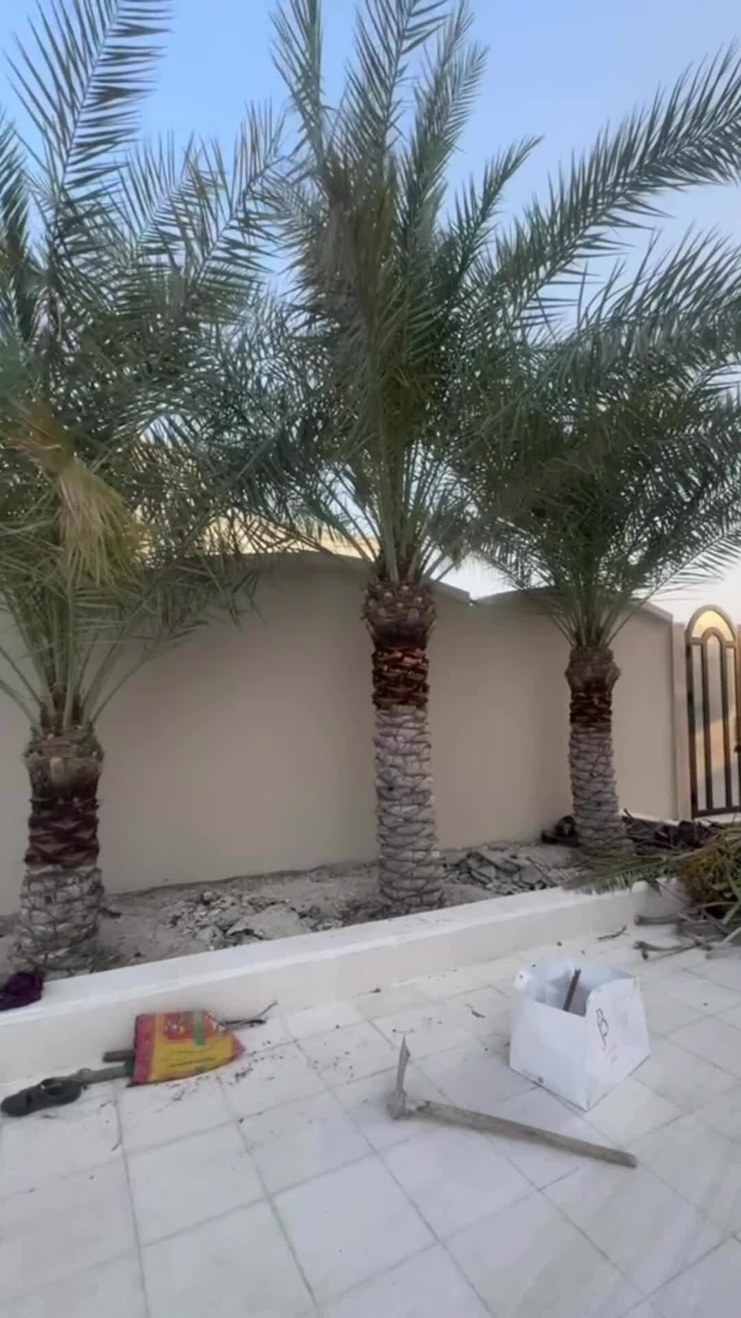 توفير كل اعمل النخيل - 1