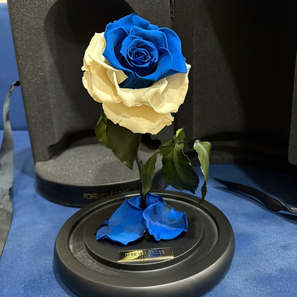 forever rose - 7