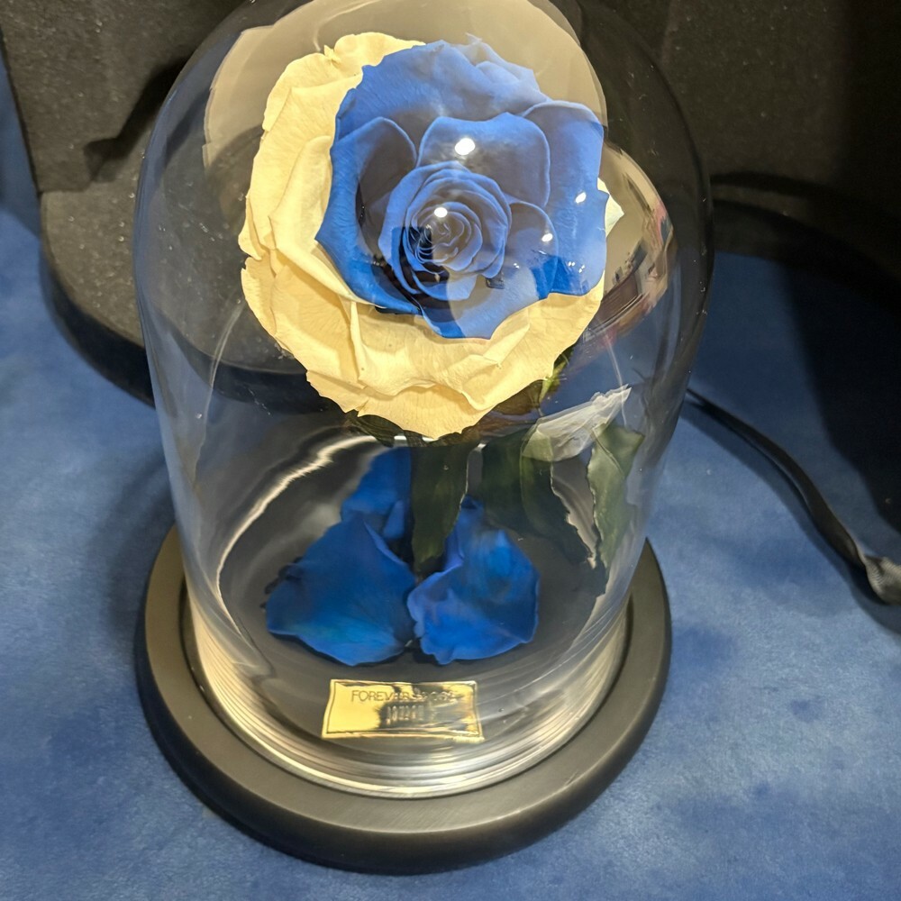 forever rose - 3