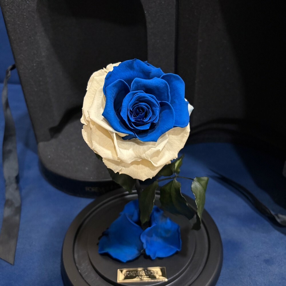 forever rose - 6