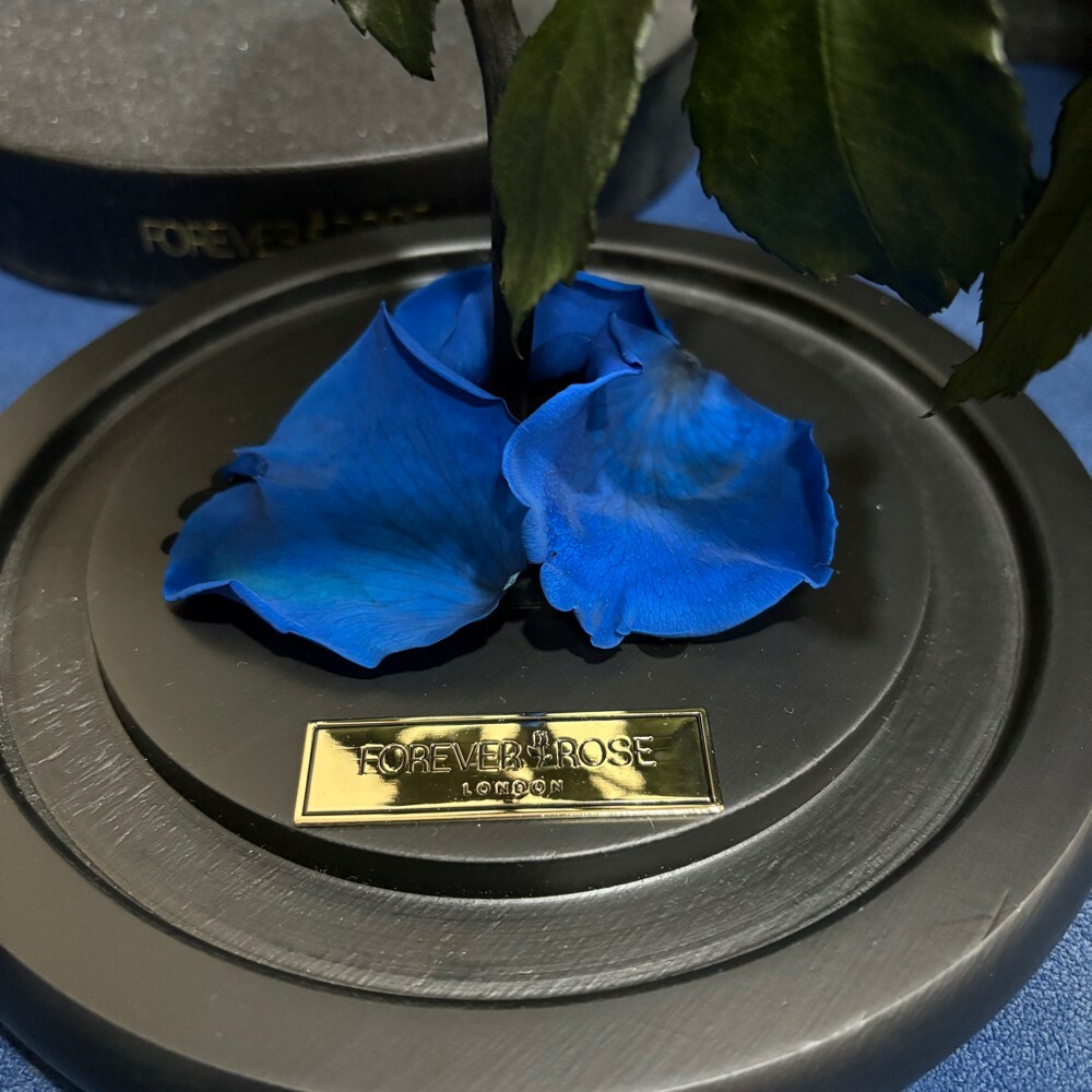 forever rose - 2