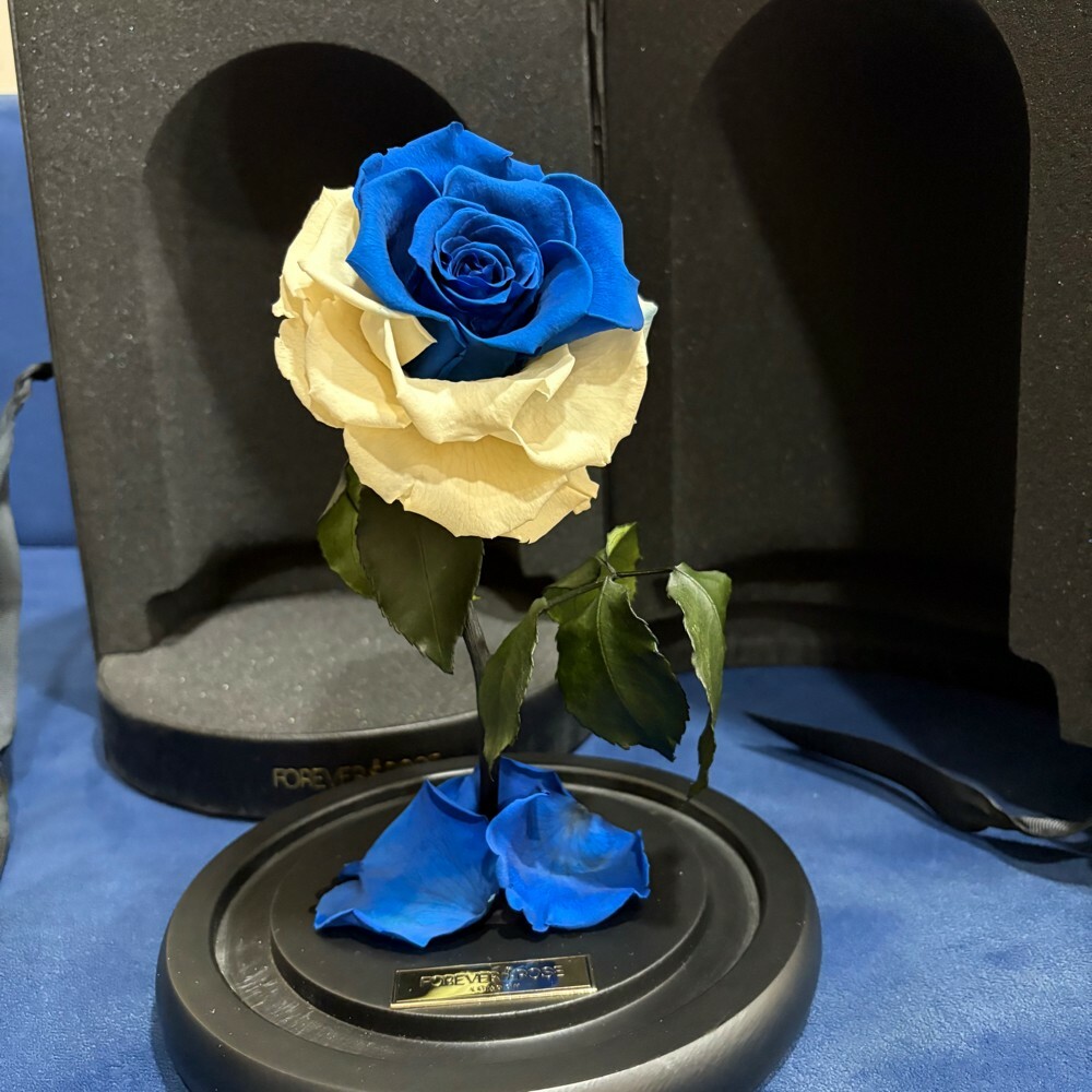 forever rose - 4