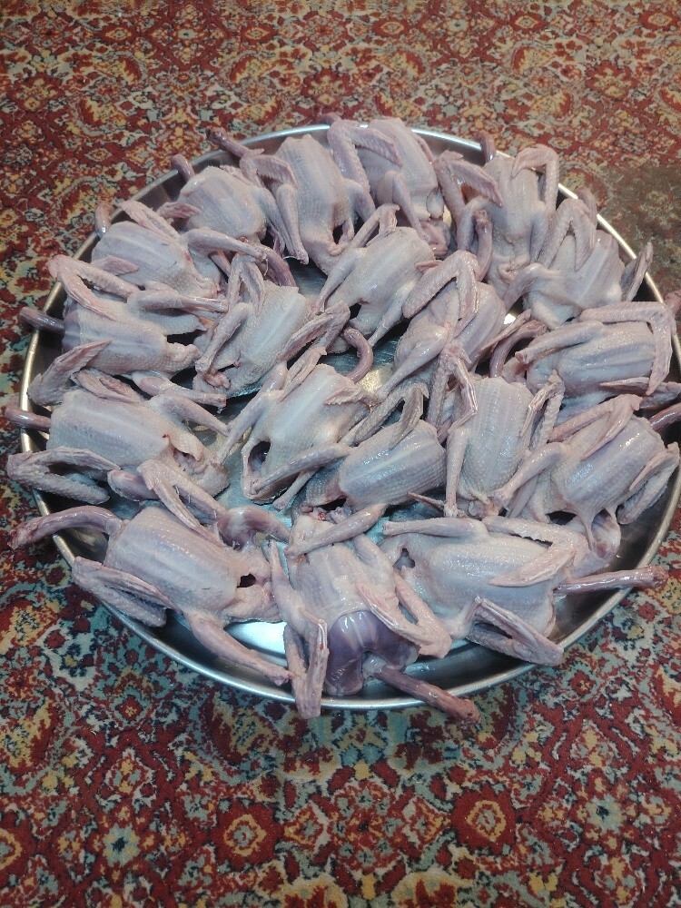 Eating good Pigeons Baby - 4