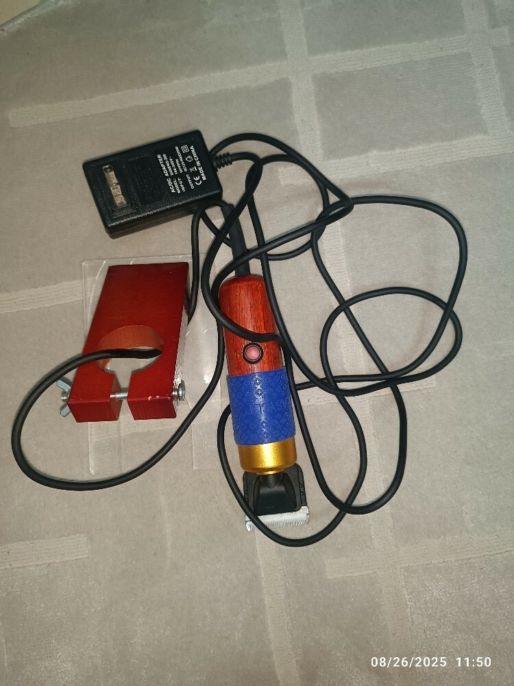 carpet gun - 2