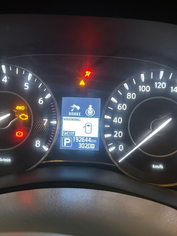 Nissan Petrol - 6