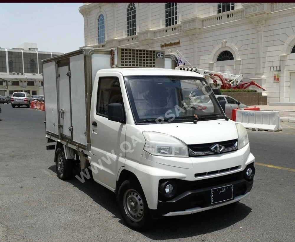 سيارة فريزر بحالة ممتازة بدون حوادث - 3