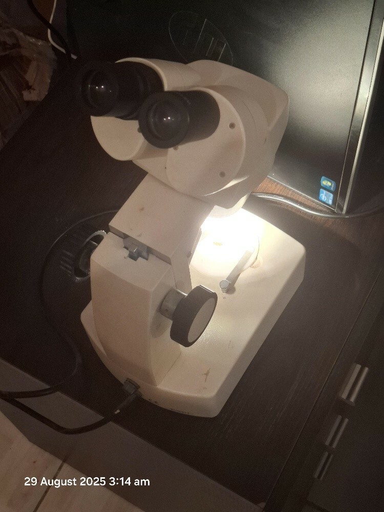 Stereo Microscope - 2