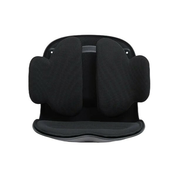 Adjustable Back Support - 3
