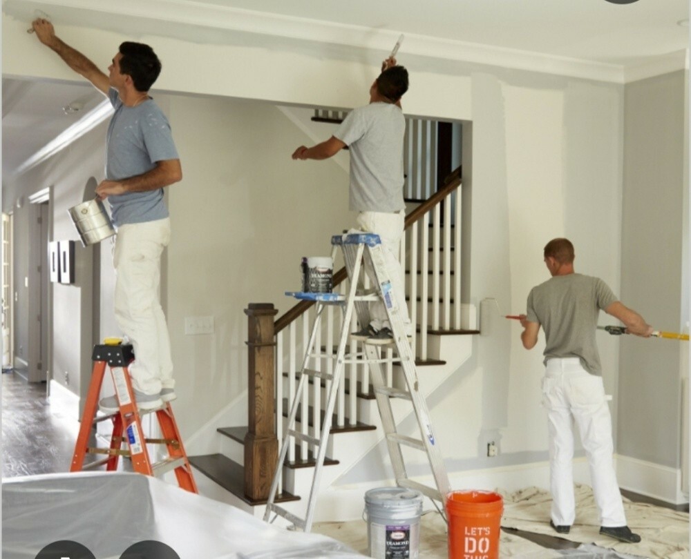 Painting, carpenter, gypsum - 2
