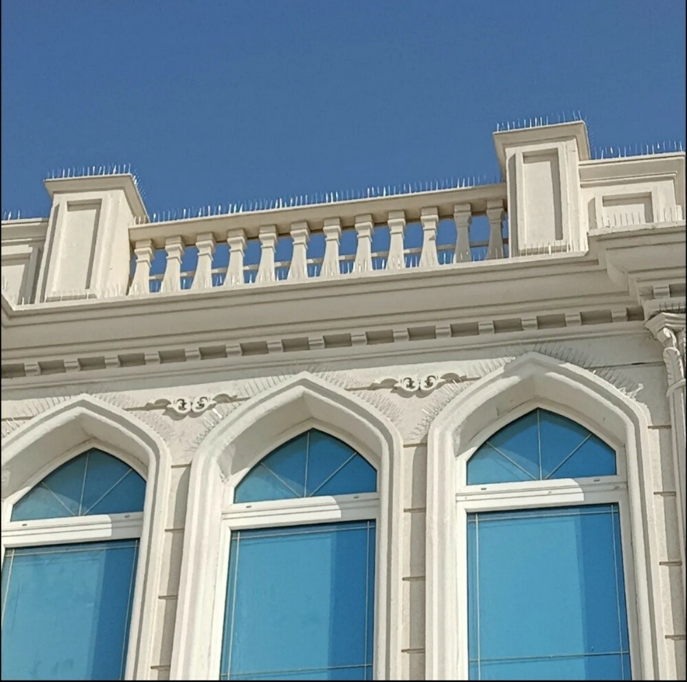 أحمد - 4