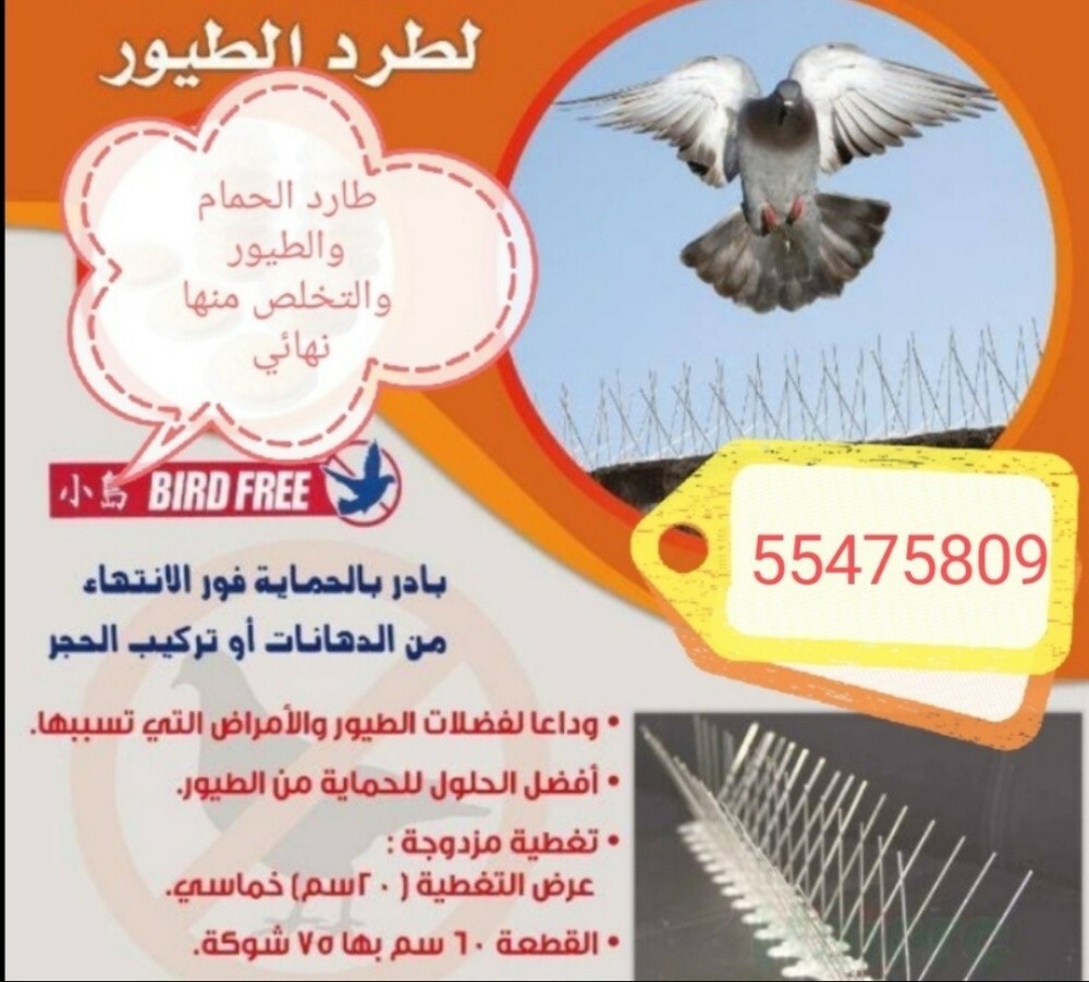 أحمد - 1