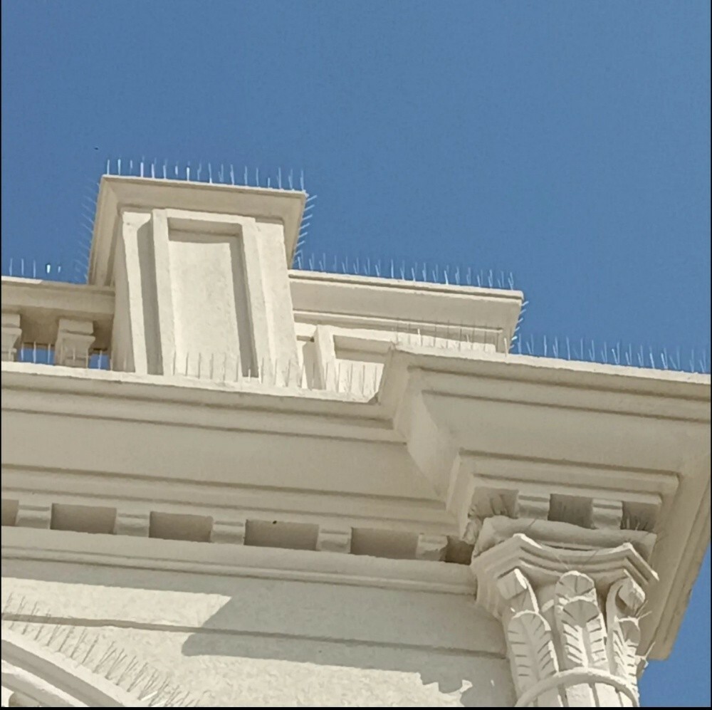 أحمد - 2