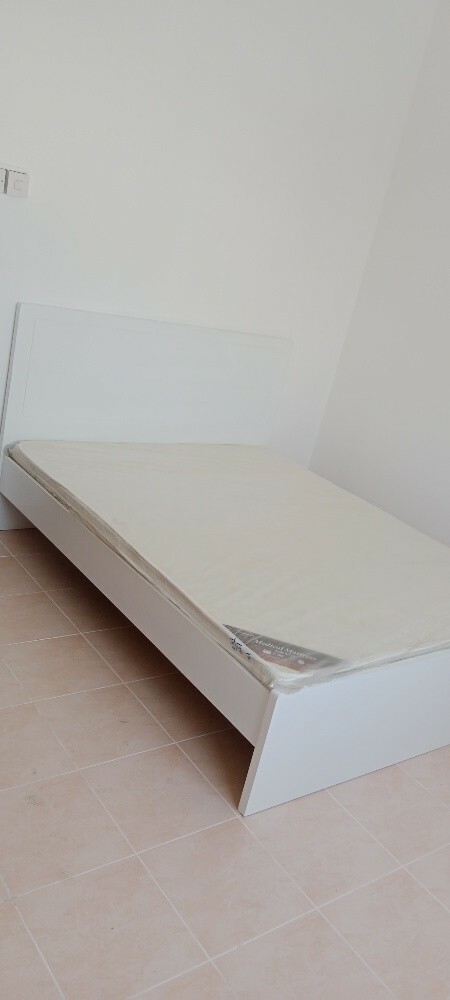 shahen - 1