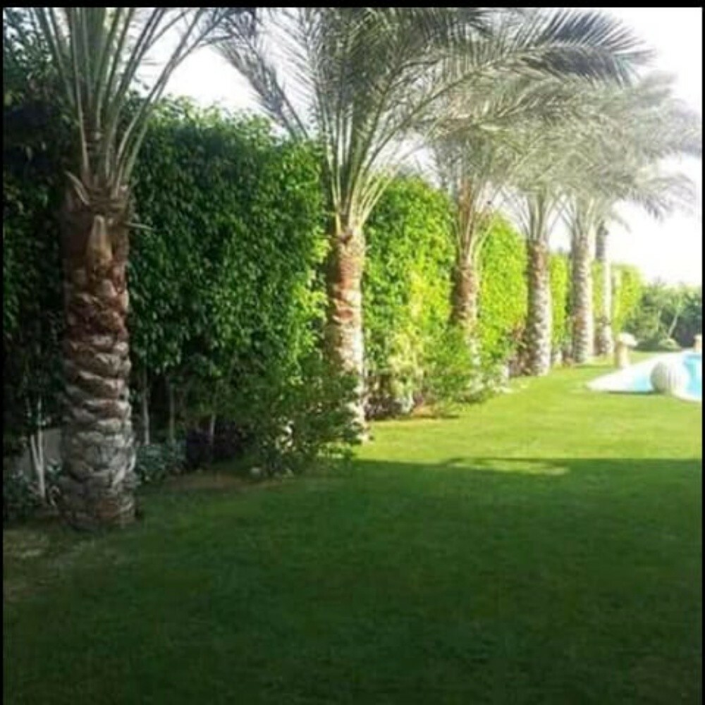 زراعه وديكور - 22