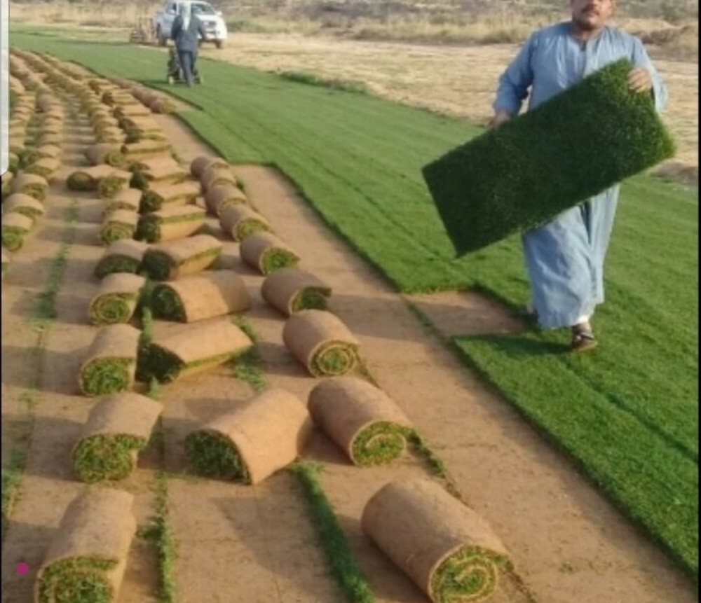 زراعه وديكور - 1