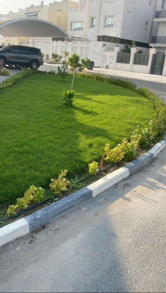 زراعه وديكور - 19