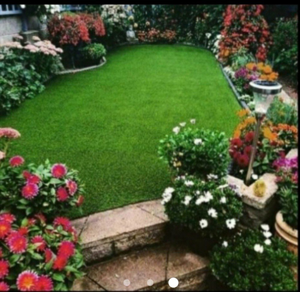 زراعه وديكور - 20