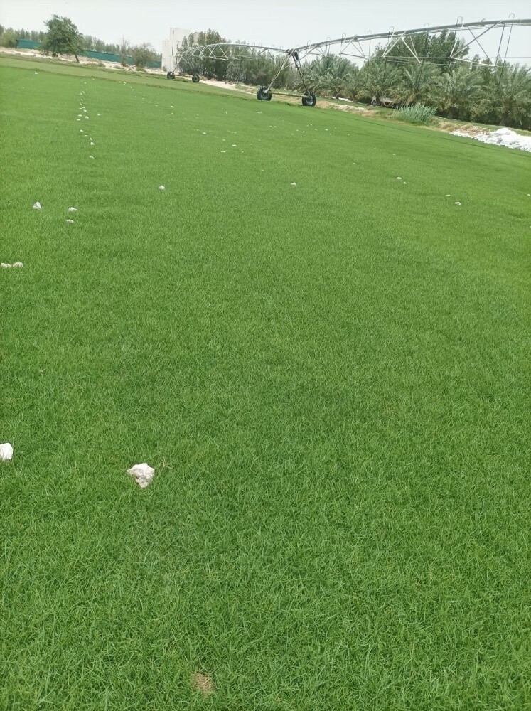 زراعه وديكور - 3