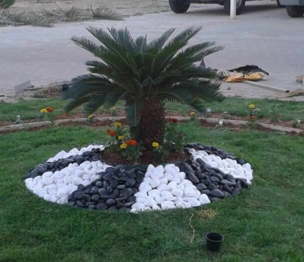 زراعه وديكور - 14